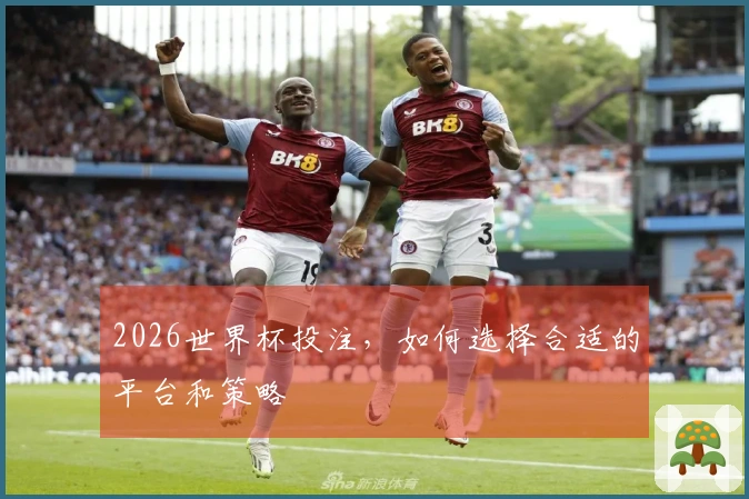 2026世界杯投注，如何选择合适的平台和策略