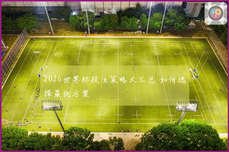 2026世界杯投注策略大汇总 如何选择最优方案