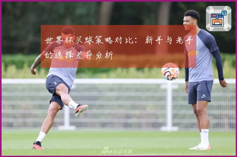 世界杯买球策略对比：新手与老手的选择差异分析