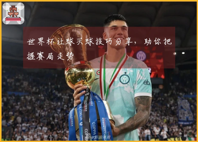 世界杯让球买球技巧分享，助你把握赛局走势