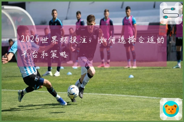 2026世界杯投注，如何选择合适的平台和策略