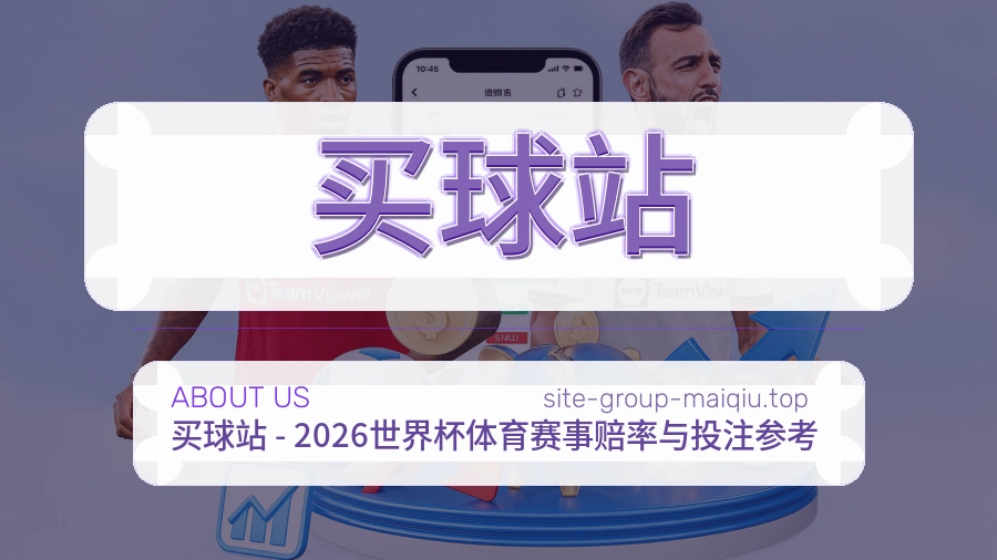 关于 买球站 团队与服务